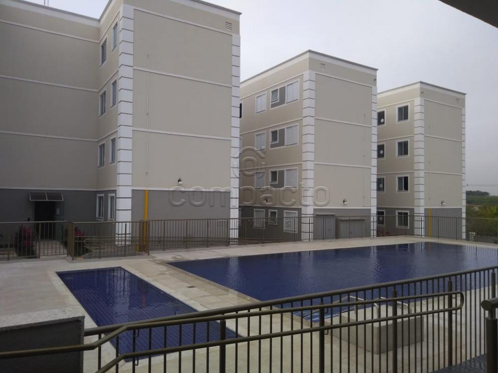 Alugar Apartamento / Padrão em São José do Rio Preto apenas R$ 500,00 - Foto 8 Alugar Apartamento / Padrão em São José do Rio Preto apenas R$ 500,00 - Foto 8