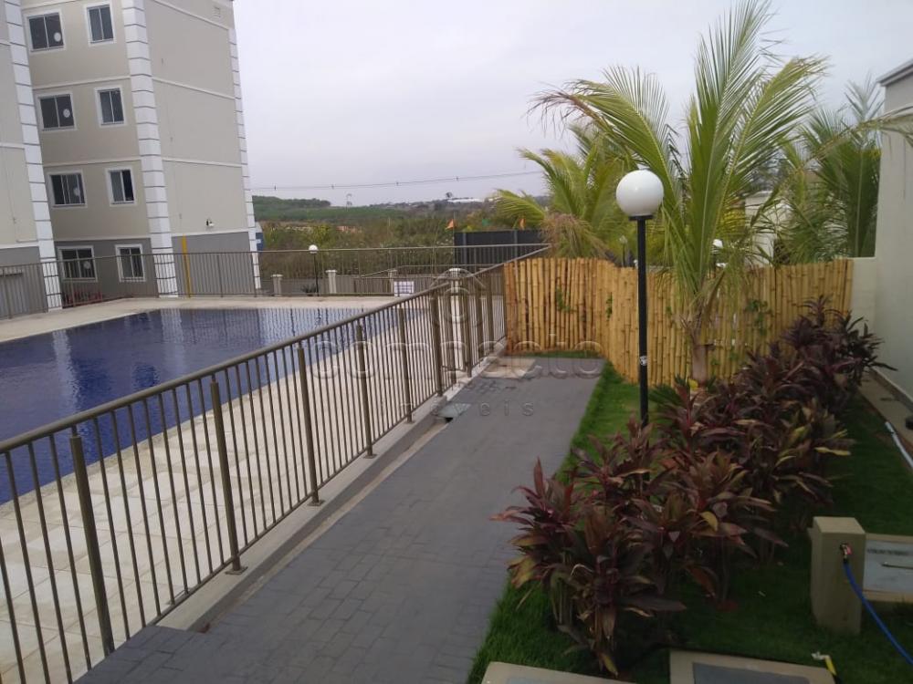 Alugar Apartamento / Padrão em São José do Rio Preto apenas R$ 500,00 - Foto 10 Alugar Apartamento / Padrão em São José do Rio Preto apenas R$ 500,00 - Foto 10