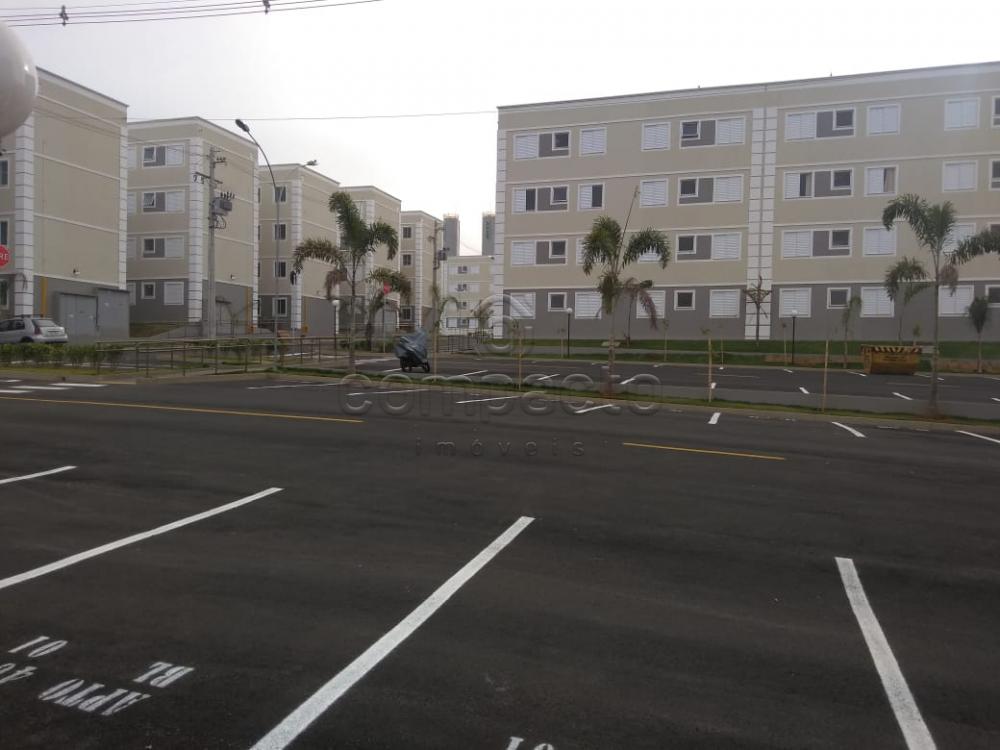 Alugar Apartamento / Padrão em São José do Rio Preto apenas R$ 500,00 - Foto 11 Alugar Apartamento / Padrão em São José do Rio Preto apenas R$ 500,00 - Foto 11