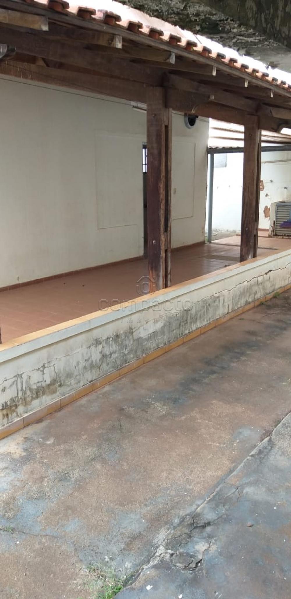 Comprar Casa / Padrão em São José do Rio Preto apenas R$ 430.000,00 - Foto 16 Comprar Casa / Padrão em São José do Rio Preto apenas R$ 430.000,00 - Foto 16