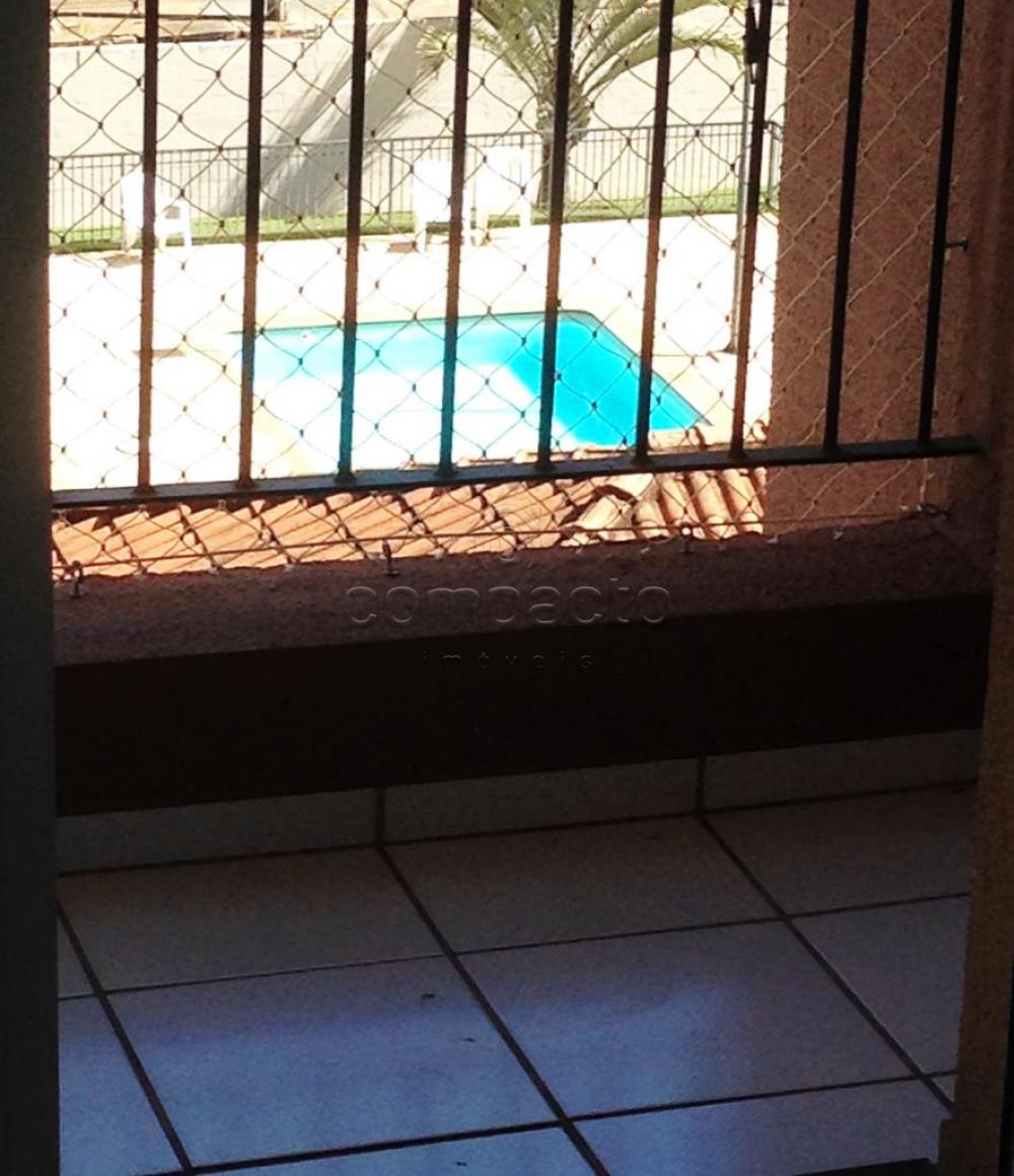 Comprar Apartamento / Padrão em São José do Rio Preto apenas R$ 240.000,00 - Foto 3 Comprar Apartamento / Padrão em São José do Rio Preto apenas R$ 240.000,00 - Foto 3
