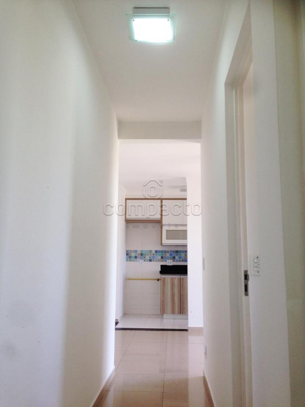Comprar Apartamento / Padrão em São José do Rio Preto apenas R$ 240.000,00 - Foto 10 Comprar Apartamento / Padrão em São José do Rio Preto apenas R$ 240.000,00 - Foto 10