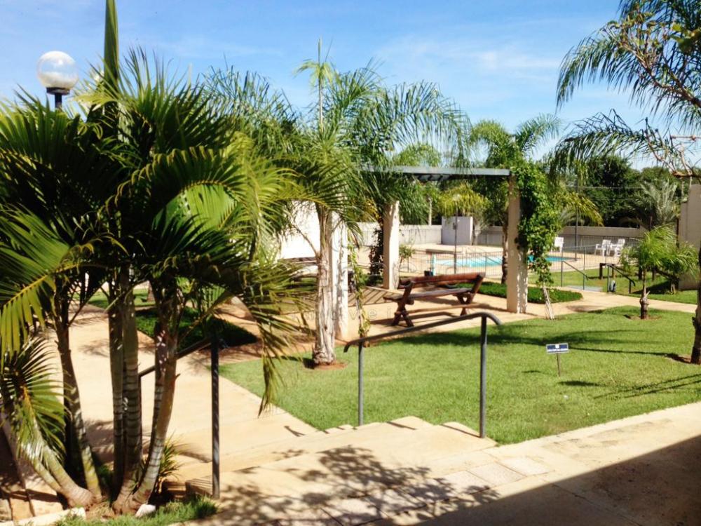 Comprar Apartamento / Padrão em São José do Rio Preto apenas R$ 240.000,00 - Foto 20 Comprar Apartamento / Padrão em São José do Rio Preto apenas R$ 240.000,00 - Foto 20