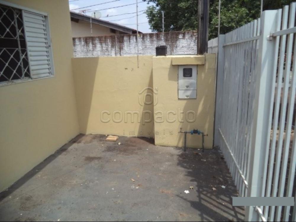 Alugar Casa / Padrão em São José do Rio Preto apenas R$ 870,00 - Foto 3 Alugar Casa / Padrão em São José do Rio Preto apenas R$ 870,00 - Foto 3