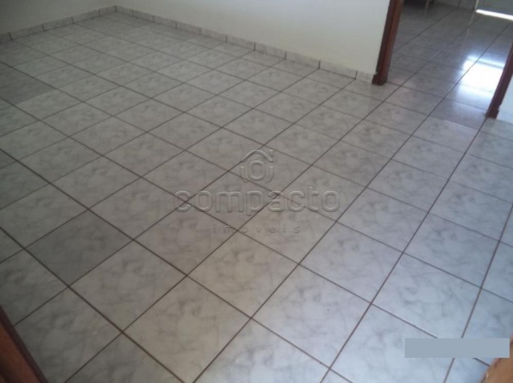 Alugar Casa / Padrão em São José do Rio Preto apenas R$ 870,00 - Foto 5 Alugar Casa / Padrão em São José do Rio Preto apenas R$ 870,00 - Foto 5