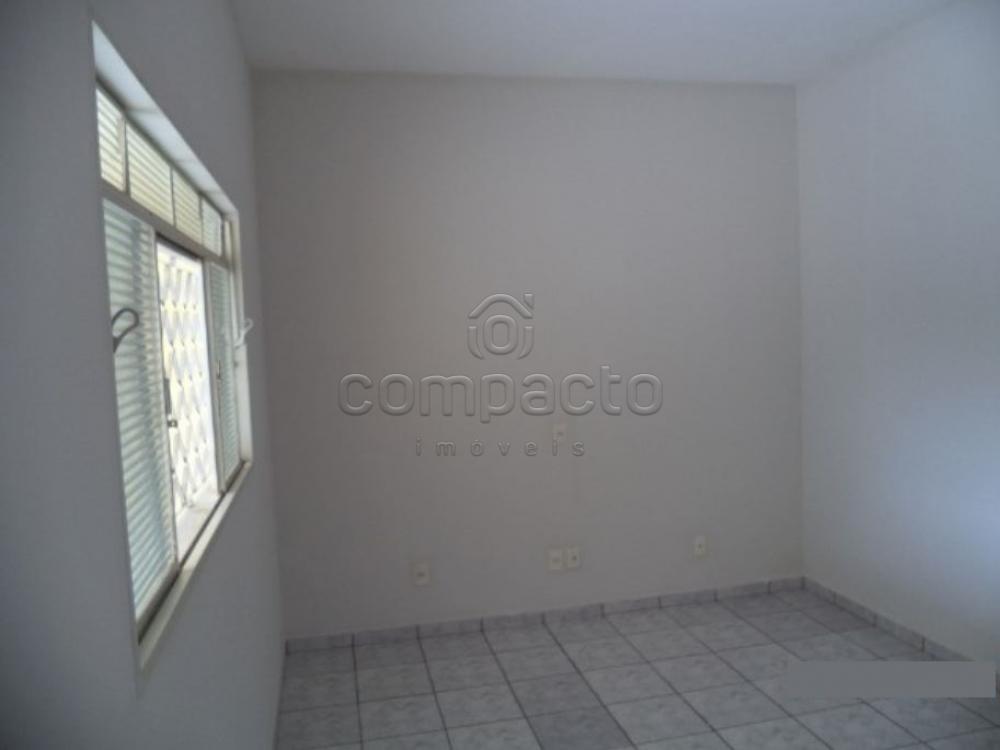 Alugar Casa / Padrão em São José do Rio Preto apenas R$ 870,00 - Foto 6 Alugar Casa / Padrão em São José do Rio Preto apenas R$ 870,00 - Foto 6