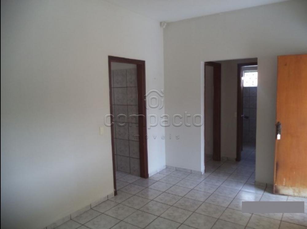 Alugar Casa / Padrão em São José do Rio Preto apenas R$ 870,00 - Foto 7 Alugar Casa / Padrão em São José do Rio Preto apenas R$ 870,00 - Foto 7