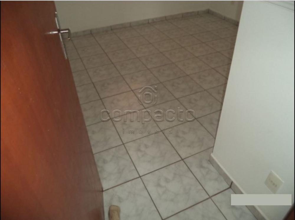 Alugar Casa / Padrão em São José do Rio Preto apenas R$ 870,00 - Foto 8 Alugar Casa / Padrão em São José do Rio Preto apenas R$ 870,00 - Foto 8