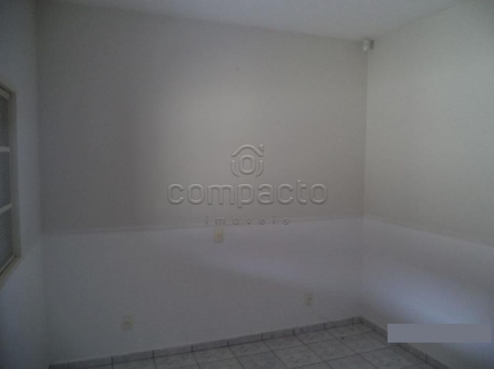 Alugar Casa / Padrão em São José do Rio Preto apenas R$ 870,00 - Foto 11 Alugar Casa / Padrão em São José do Rio Preto apenas R$ 870,00 - Foto 11