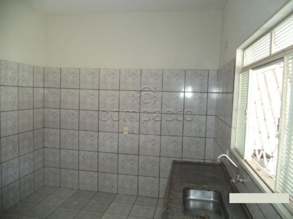 Alugar Casa / Padrão em São José do Rio Preto apenas R$ 870,00 - Foto 13 Alugar Casa / Padrão em São José do Rio Preto apenas R$ 870,00 - Foto 13