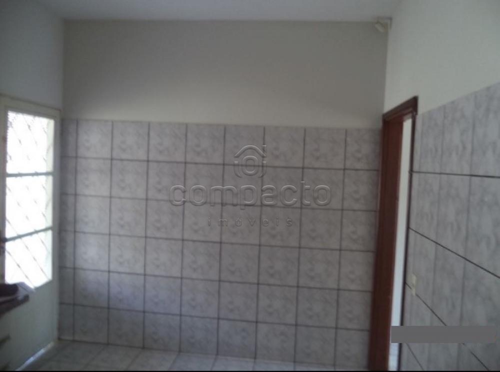 Alugar Casa / Padrão em São José do Rio Preto apenas R$ 870,00 - Foto 14 Alugar Casa / Padrão em São José do Rio Preto apenas R$ 870,00 - Foto 14
