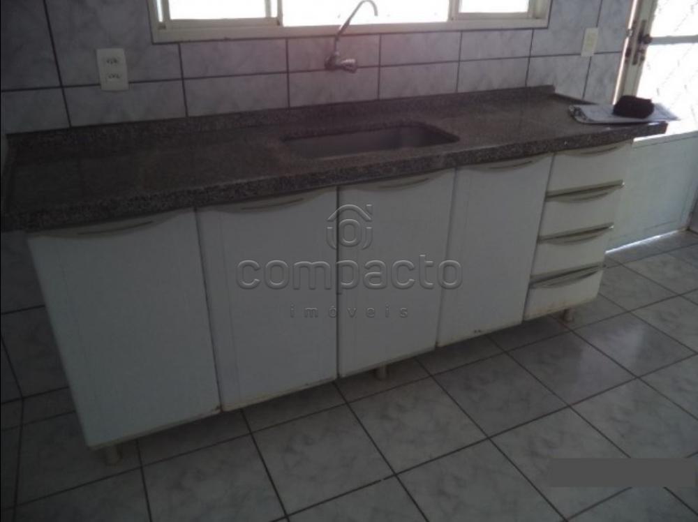 Alugar Casa / Padrão em São José do Rio Preto apenas R$ 870,00 - Foto 15 Alugar Casa / Padrão em São José do Rio Preto apenas R$ 870,00 - Foto 15