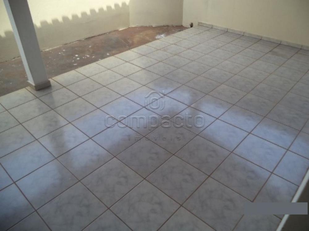 Alugar Casa / Padrão em São José do Rio Preto apenas R$ 870,00 - Foto 17 Alugar Casa / Padrão em São José do Rio Preto apenas R$ 870,00 - Foto 17