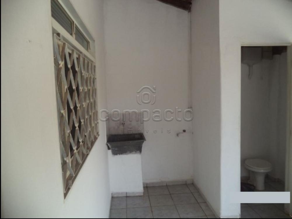 Alugar Casa / Padrão em São José do Rio Preto apenas R$ 870,00 - Foto 19 Alugar Casa / Padrão em São José do Rio Preto apenas R$ 870,00 - Foto 19