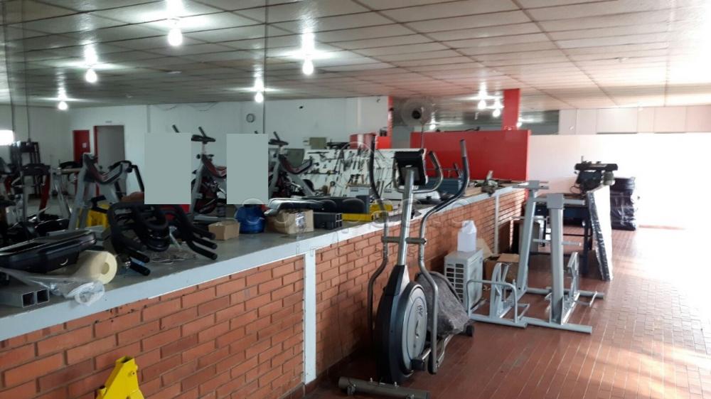 Alugar Comercial / Barracão em São José do Rio Preto apenas R$ 8.000,00 - Foto 5 Alugar Comercial / Barracão em São José do Rio Preto apenas R$ 8.000,00 - Foto 5