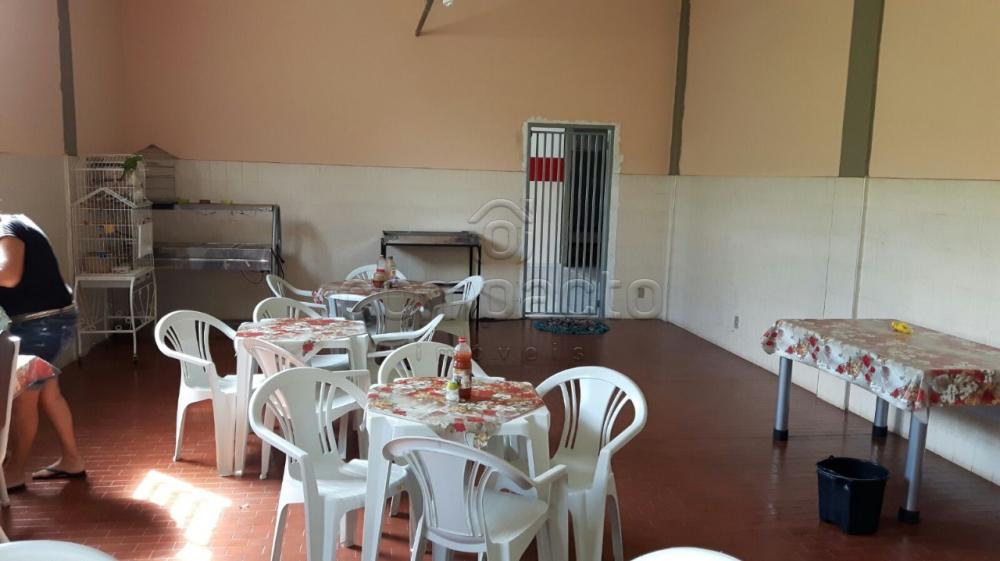 Alugar Comercial / Barracão em São José do Rio Preto apenas R$ 8.000,00 - Foto 9 Alugar Comercial / Barracão em São José do Rio Preto apenas R$ 8.000,00 - Foto 9