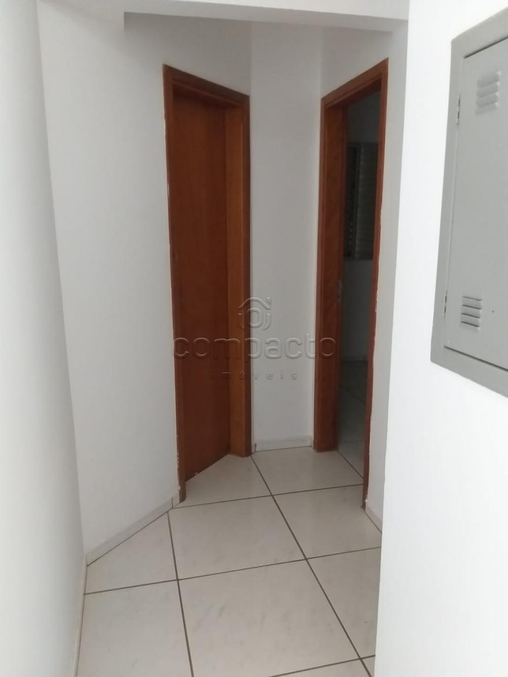 Alugar Apartamento / Padrão em São José do Rio Preto apenas R$ 1.300,00 - Foto 11 Alugar Apartamento / Padrão em São José do Rio Preto apenas R$ 1.300,00 - Foto 11