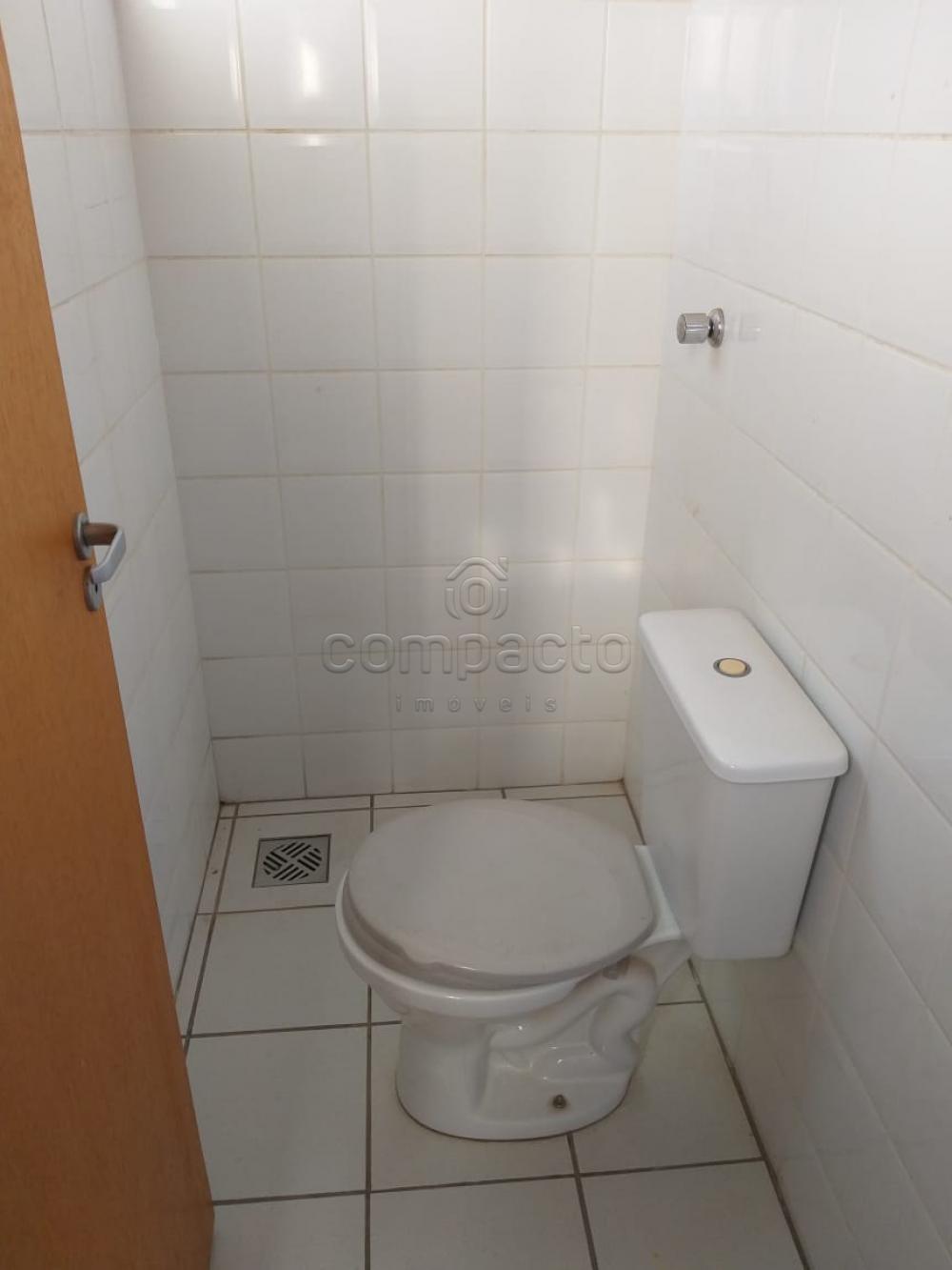 Alugar Apartamento / Padrão em São José do Rio Preto apenas R$ 1.300,00 - Foto 10 Alugar Apartamento / Padrão em São José do Rio Preto apenas R$ 1.300,00 - Foto 10