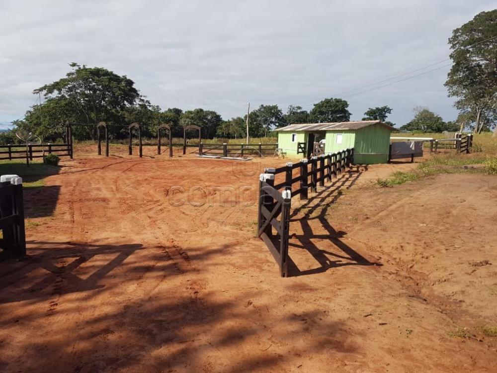 Comprar Rural / Fazenda em Cassilândia apenas R$ 7.500.000,00 - Foto 3 Comprar Rural / Fazenda em Cassilândia apenas R$ 7.500.000,00 - Foto 3
