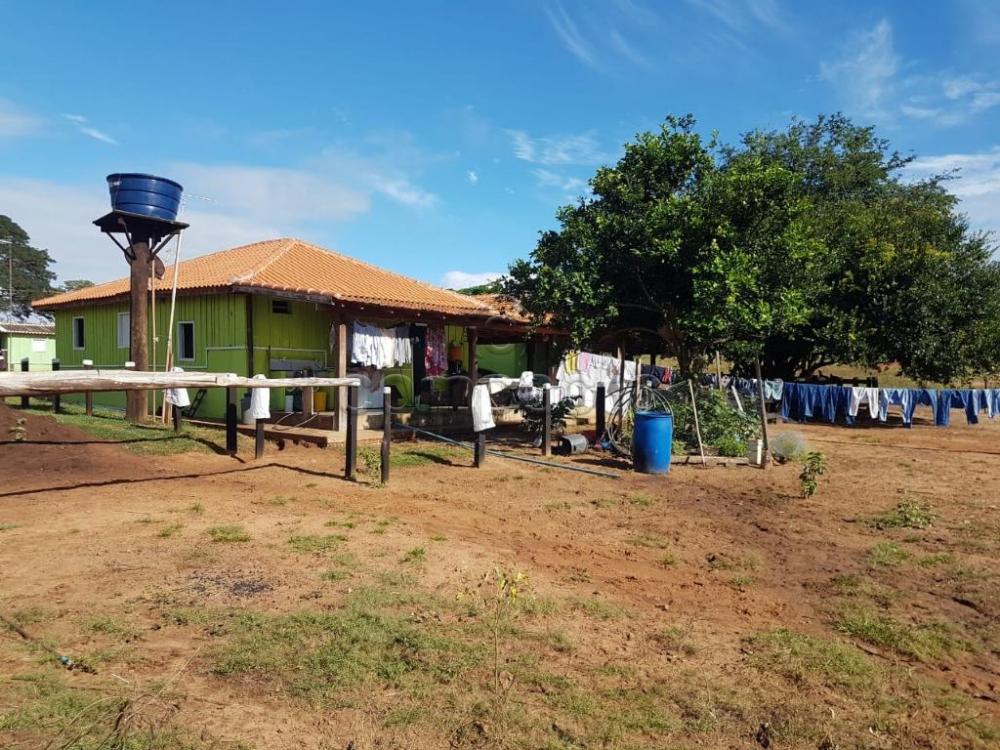 Comprar Rural / Fazenda em Cassilândia apenas R$ 7.500.000,00 - Foto 5 Comprar Rural / Fazenda em Cassilândia apenas R$ 7.500.000,00 - Foto 5
