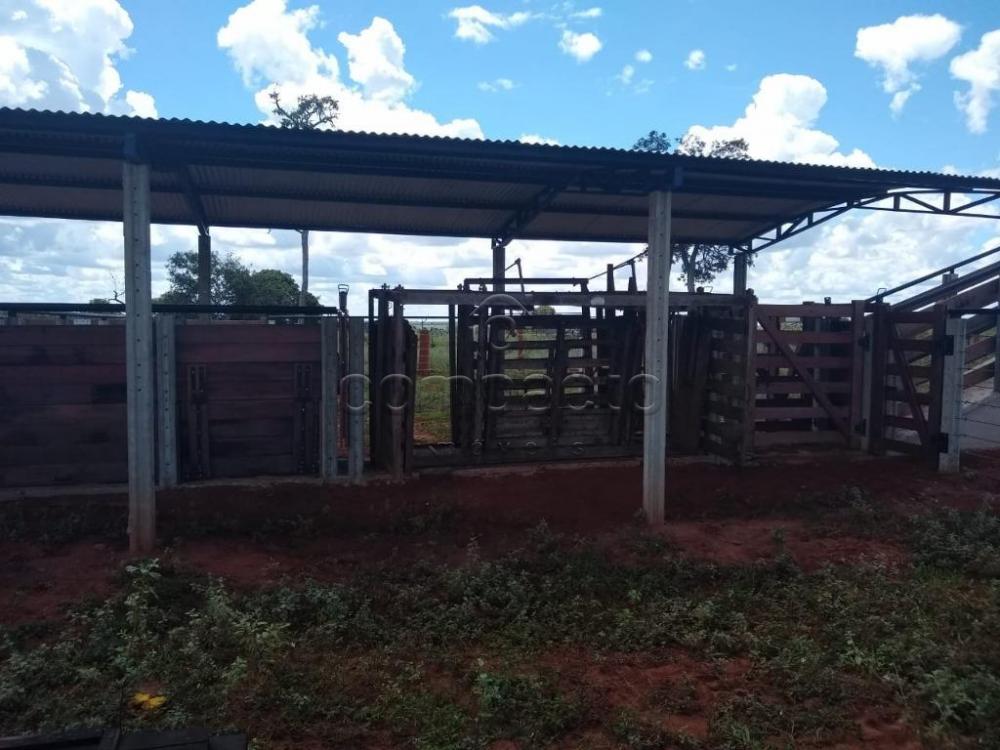 Comprar Rural / Fazenda em Cassilândia apenas R$ 7.500.000,00 - Foto 7 Comprar Rural / Fazenda em Cassilândia apenas R$ 7.500.000,00 - Foto 7