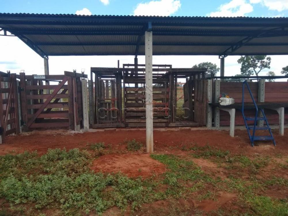 Comprar Rural / Fazenda em Cassilândia apenas R$ 7.500.000,00 - Foto 8 Comprar Rural / Fazenda em Cassilândia apenas R$ 7.500.000,00 - Foto 8