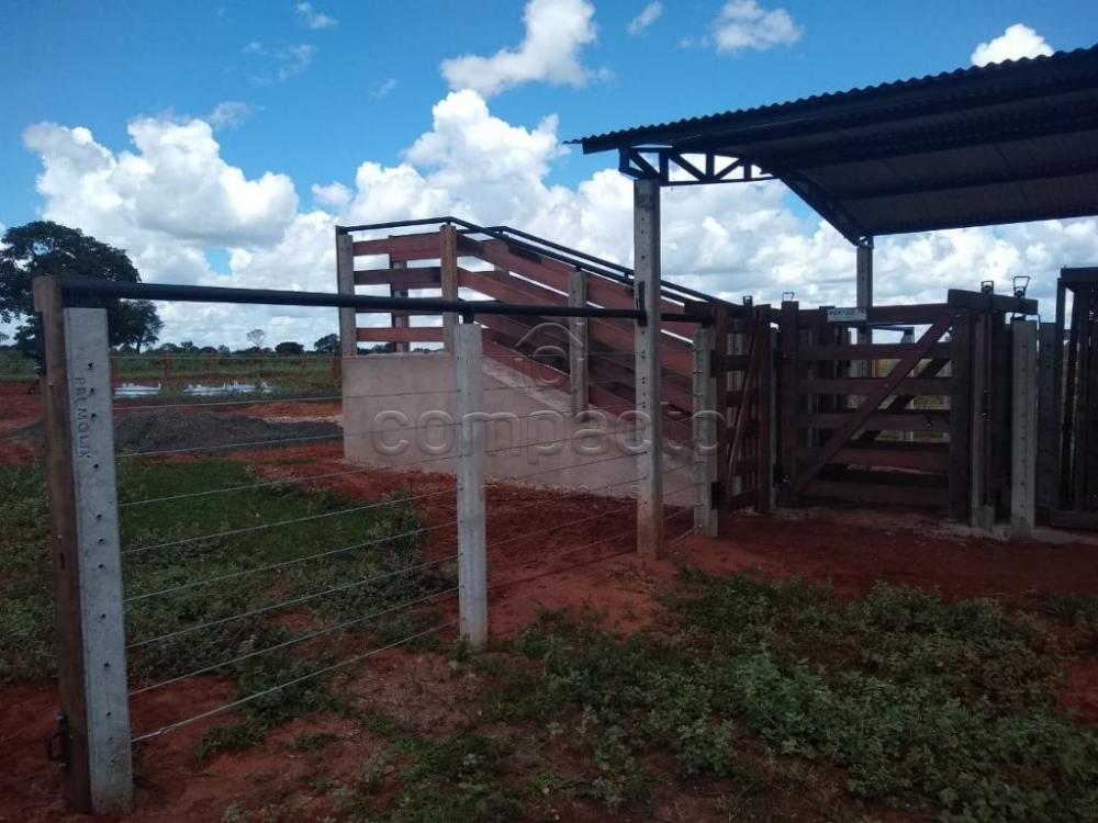Comprar Rural / Fazenda em Cassilândia apenas R$ 7.500.000,00 - Foto 9 Comprar Rural / Fazenda em Cassilândia apenas R$ 7.500.000,00 - Foto 9
