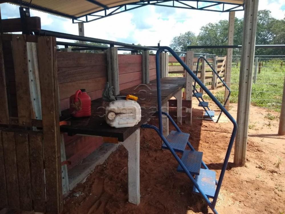 Comprar Rural / Fazenda em Cassilândia apenas R$ 7.500.000,00 - Foto 10 Comprar Rural / Fazenda em Cassilândia apenas R$ 7.500.000,00 - Foto 10