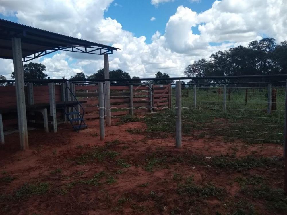 Comprar Rural / Fazenda em Cassilândia apenas R$ 7.500.000,00 - Foto 11 Comprar Rural / Fazenda em Cassilândia apenas R$ 7.500.000,00 - Foto 11