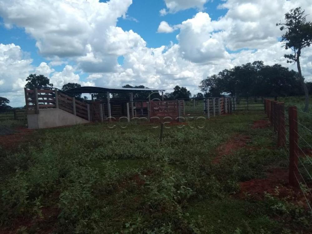 Comprar Rural / Fazenda em Cassilândia apenas R$ 7.500.000,00 - Foto 12 Comprar Rural / Fazenda em Cassilândia apenas R$ 7.500.000,00 - Foto 12