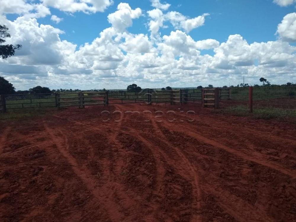 Comprar Rural / Fazenda em Cassilândia apenas R$ 7.500.000,00 - Foto 13 Comprar Rural / Fazenda em Cassilândia apenas R$ 7.500.000,00 - Foto 13