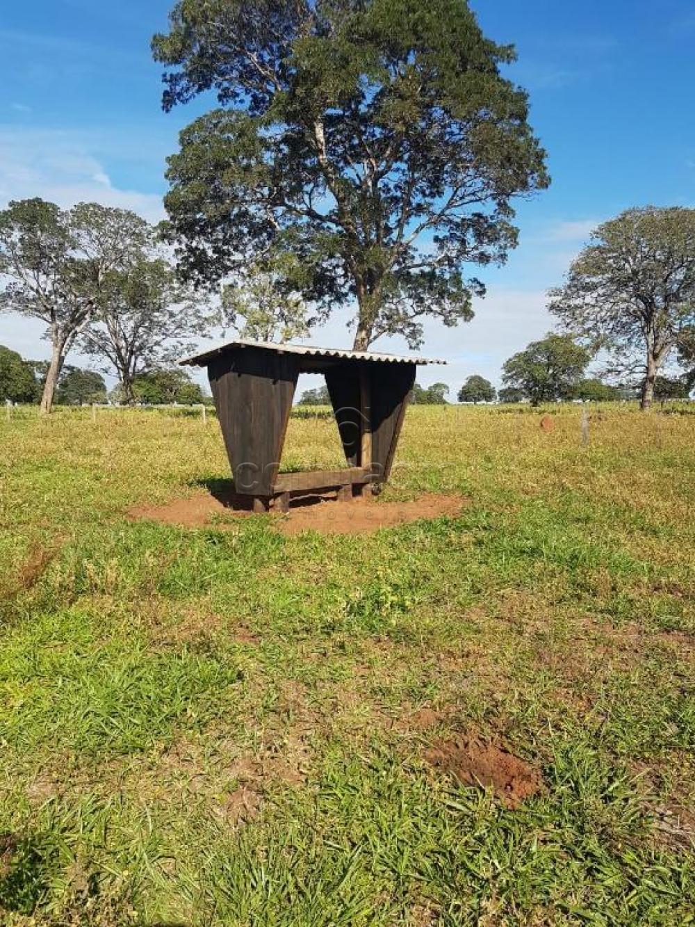 Comprar Rural / Fazenda em Cassilândia apenas R$ 7.500.000,00 - Foto 1 Comprar Rural / Fazenda em Cassilândia apenas R$ 7.500.000,00 - Foto 1