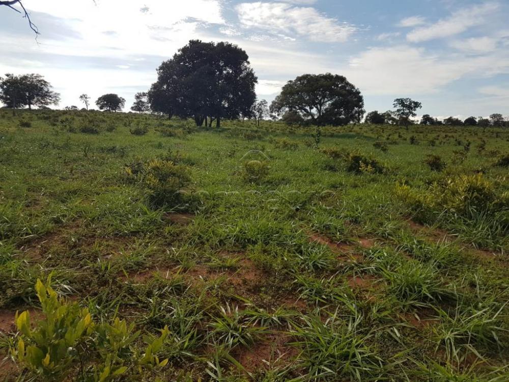 Comprar Rural / Fazenda em Cassilândia apenas R$ 7.500.000,00 - Foto 14 Comprar Rural / Fazenda em Cassilândia apenas R$ 7.500.000,00 - Foto 14