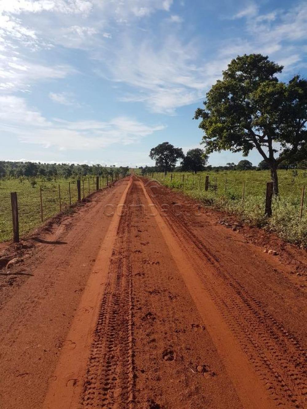 Comprar Rural / Fazenda em Cassilândia apenas R$ 7.500.000,00 - Foto 17 Comprar Rural / Fazenda em Cassilândia apenas R$ 7.500.000,00 - Foto 17