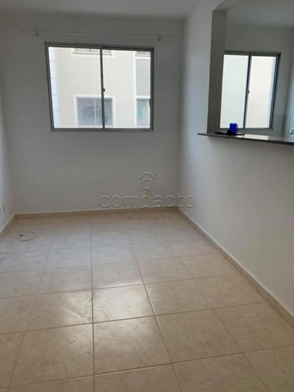 Alugar Apartamento / Padrão em São José do Rio Preto apenas R$ 750,00 - Foto 1 Alugar Apartamento / Padrão em São José do Rio Preto apenas R$ 750,00 - Foto 1