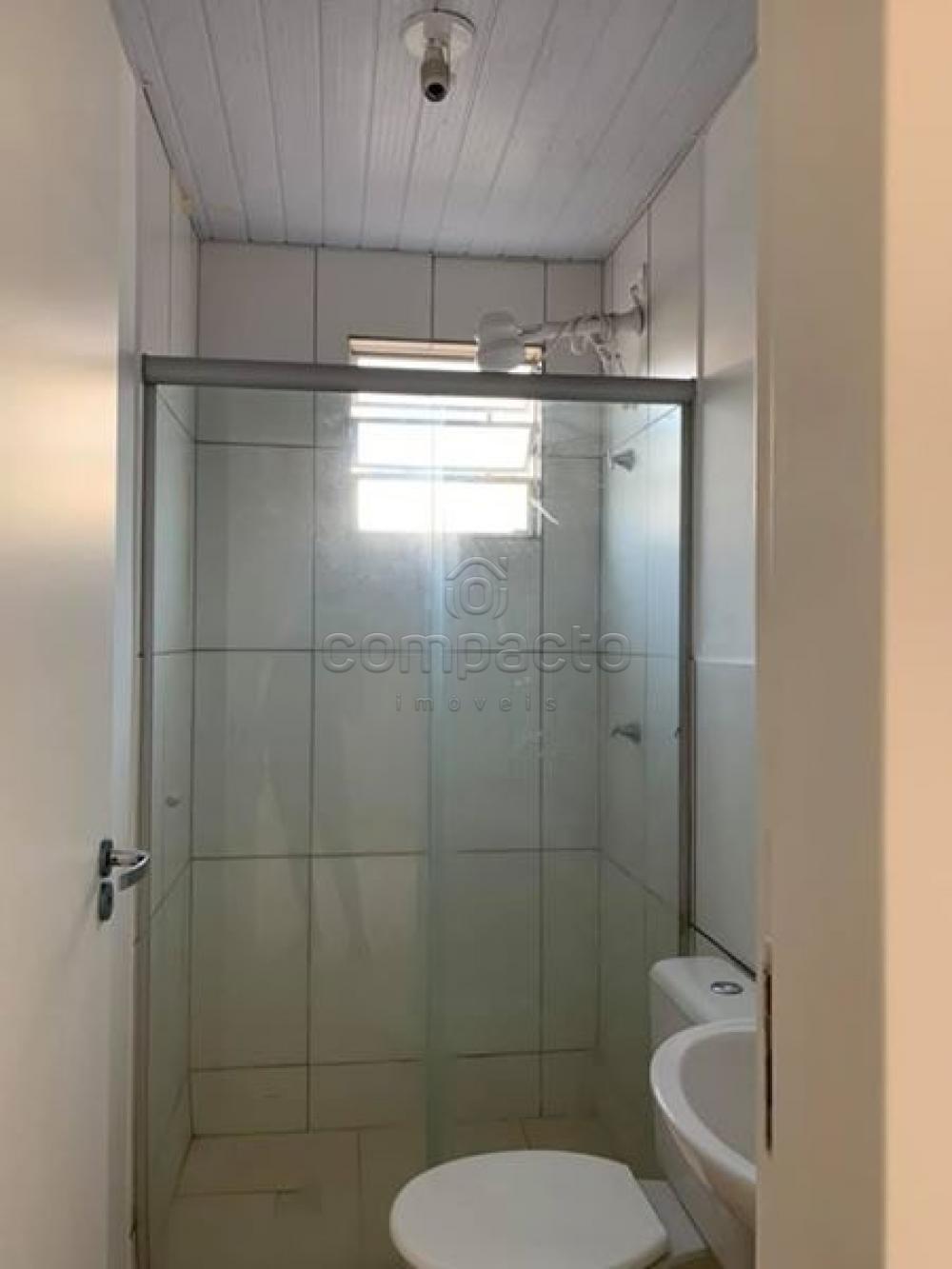 Alugar Apartamento / Padrão em São José do Rio Preto apenas R$ 750,00 - Foto 4 Alugar Apartamento / Padrão em São José do Rio Preto apenas R$ 750,00 - Foto 4