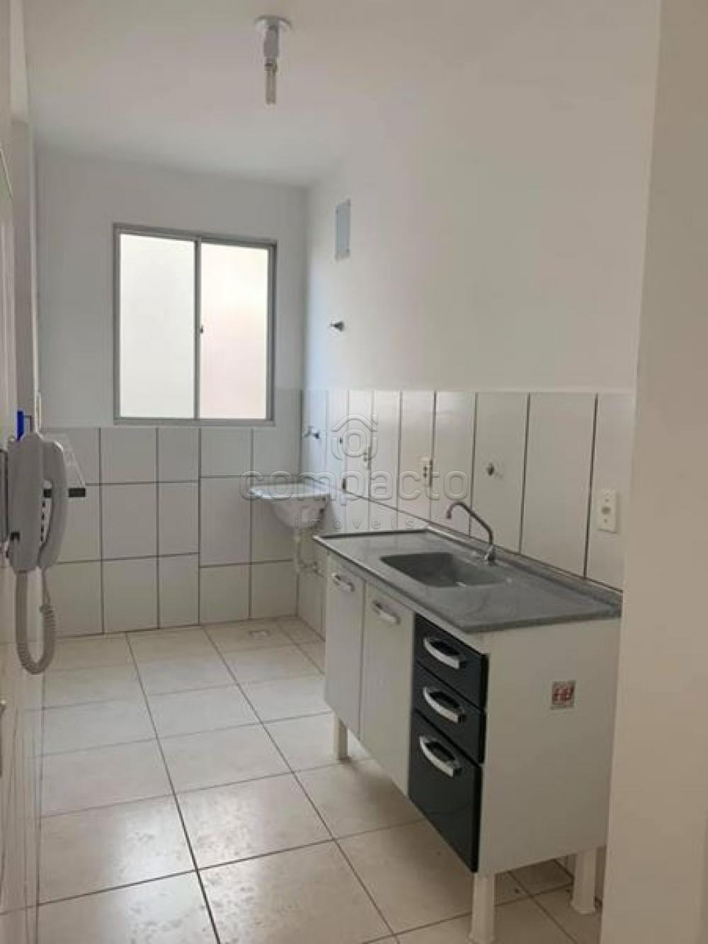 Alugar Apartamento / Padrão em São José do Rio Preto apenas R$ 750,00 - Foto 6 Alugar Apartamento / Padrão em São José do Rio Preto apenas R$ 750,00 - Foto 6