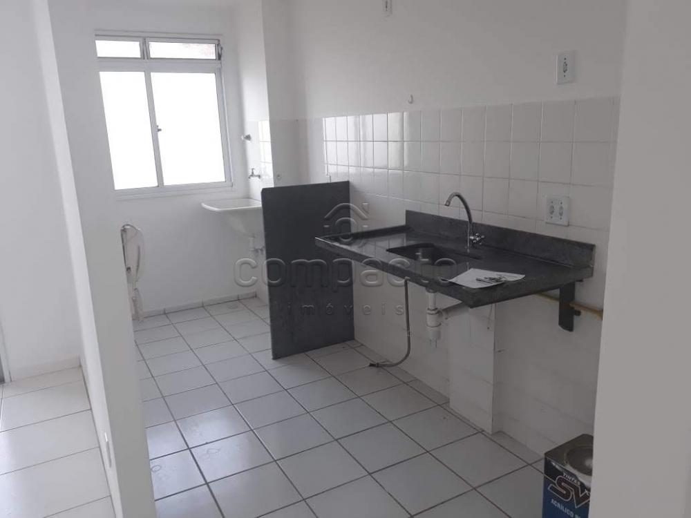 Alugar Apartamento / Padrão em São José do Rio Preto apenas R$ 600,00 - Foto 2 Alugar Apartamento / Padrão em São José do Rio Preto apenas R$ 600,00 - Foto 2