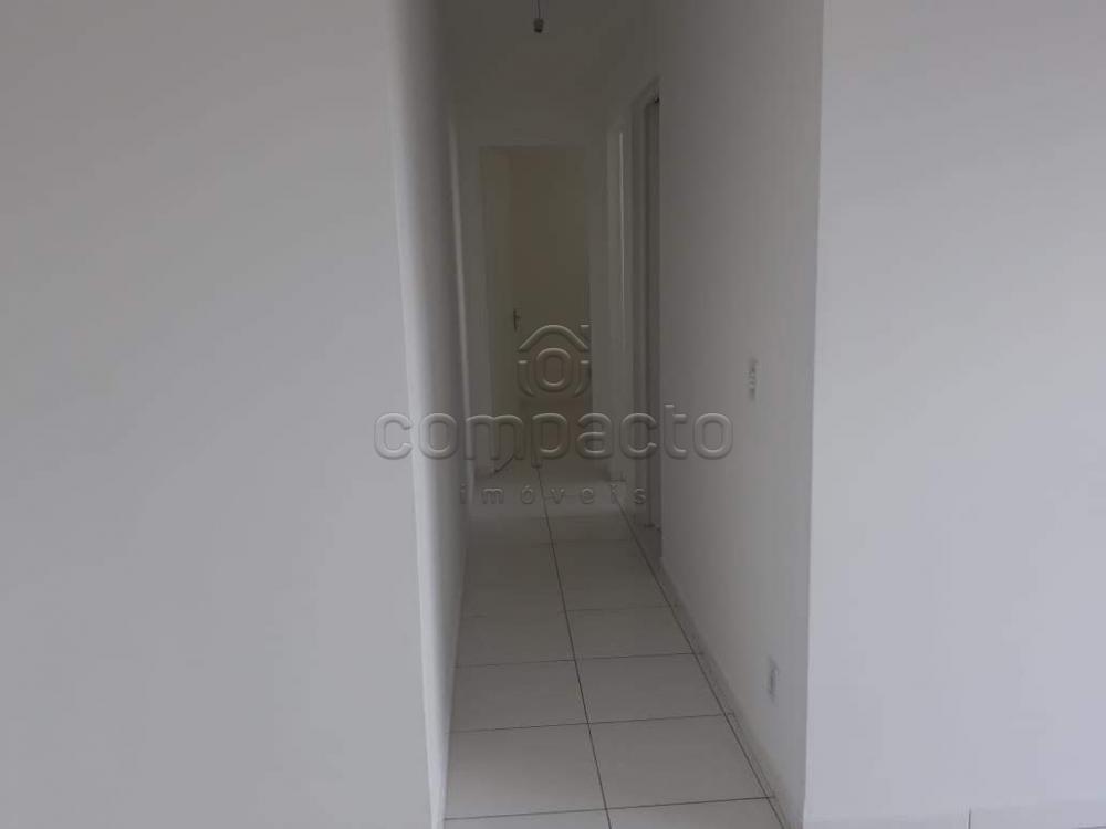 Alugar Apartamento / Padrão em São José do Rio Preto apenas R$ 600,00 - Foto 4 Alugar Apartamento / Padrão em São José do Rio Preto apenas R$ 600,00 - Foto 4