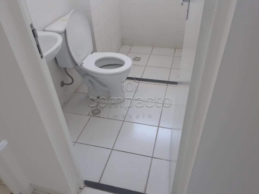 Alugar Apartamento / Padrão em São José do Rio Preto apenas R$ 600,00 - Foto 5 Alugar Apartamento / Padrão em São José do Rio Preto apenas R$ 600,00 - Foto 5