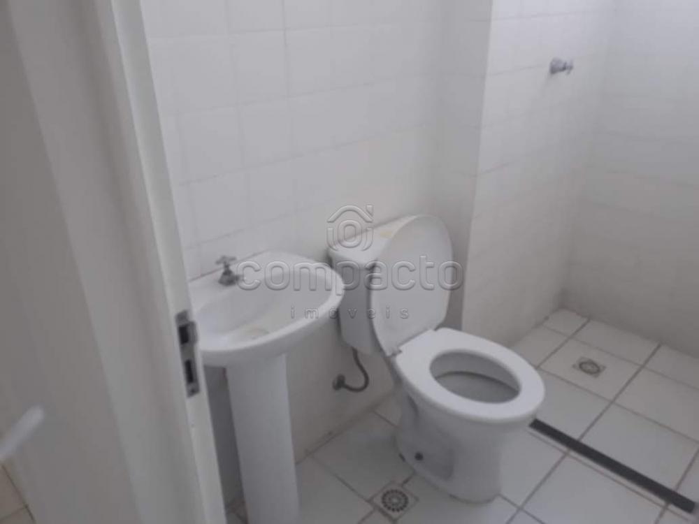 Alugar Apartamento / Padrão em São José do Rio Preto apenas R$ 600,00 - Foto 9 Alugar Apartamento / Padrão em São José do Rio Preto apenas R$ 600,00 - Foto 9