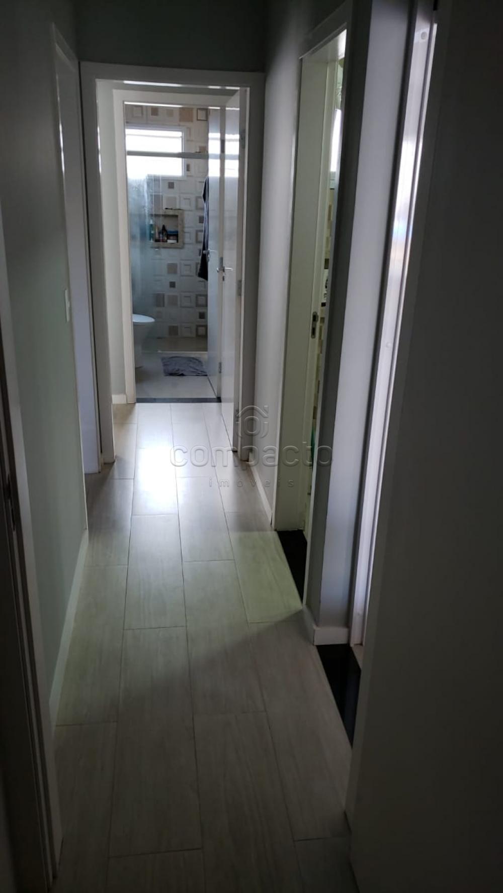 Comprar Casa / Padrão em São José do Rio Preto apenas R$ 315.000,00 - Foto 4 Comprar Casa / Padrão em São José do Rio Preto apenas R$ 315.000,00 - Foto 4