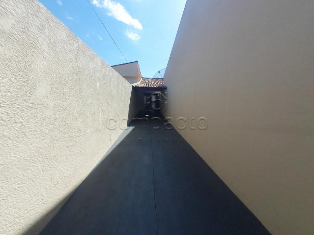 Alugar Casa / Padrão em São José do Rio Preto apenas R$ 1.250,00 - Foto 2 Alugar Casa / Padrão em São José do Rio Preto apenas R$ 1.250,00 - Foto 2
