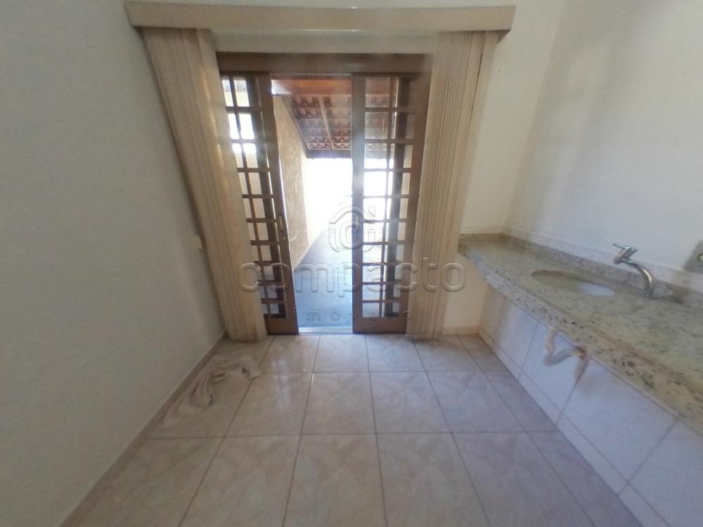 Alugar Casa / Padrão em São José do Rio Preto apenas R$ 1.250,00 - Foto 4 Alugar Casa / Padrão em São José do Rio Preto apenas R$ 1.250,00 - Foto 4