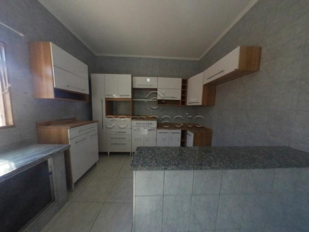 Alugar Casa / Padrão em São José do Rio Preto apenas R$ 1.250,00 - Foto 16 Alugar Casa / Padrão em São José do Rio Preto apenas R$ 1.250,00 - Foto 16