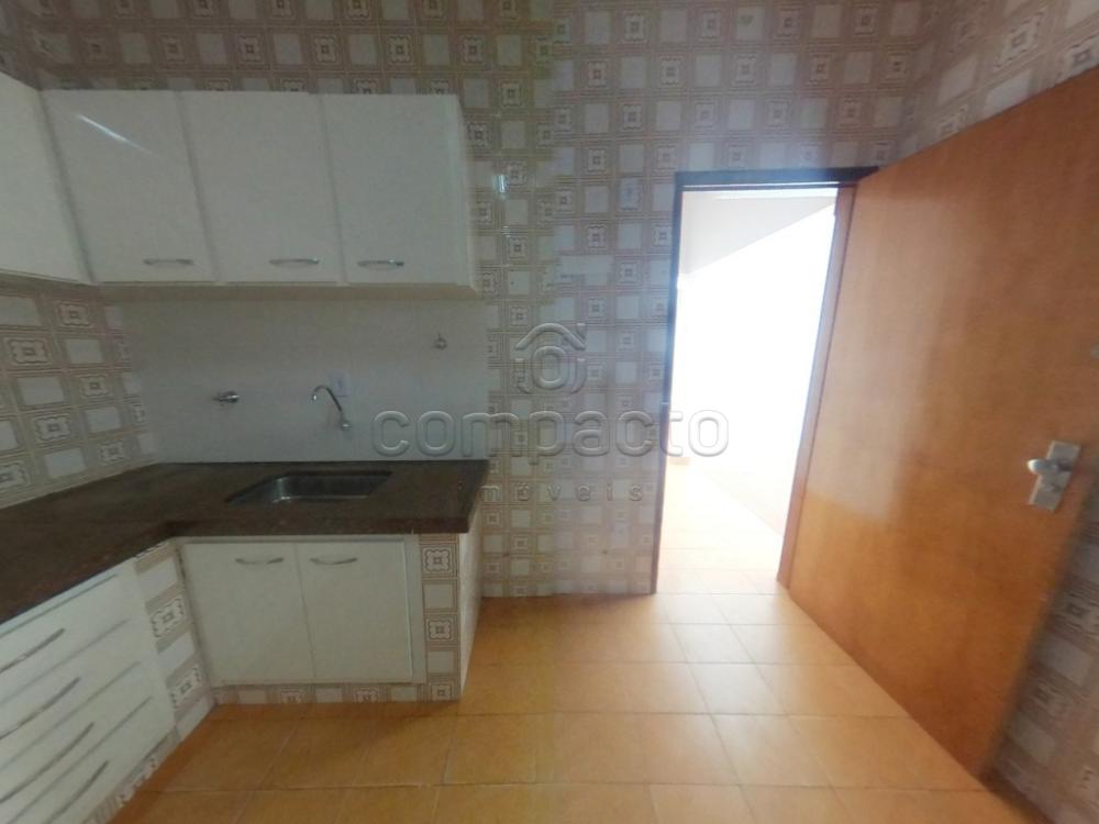 Alugar Casa / Padrão em São José do Rio Preto apenas R$ 2.500,00 - Foto 20 Alugar Casa / Padrão em São José do Rio Preto apenas R$ 2.500,00 - Foto 20