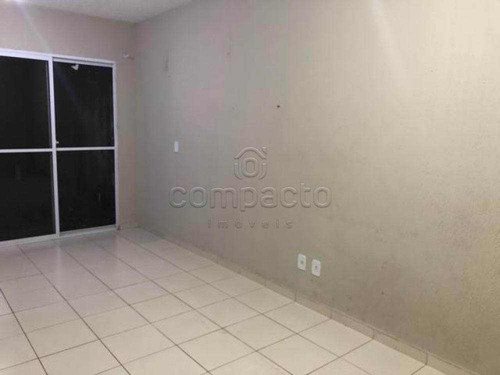 Alugar Casa / Condomínio em São José do Rio Preto apenas R$ 750,00 - Foto 2 Alugar Casa / Condomínio em São José do Rio Preto apenas R$ 750,00 - Foto 2