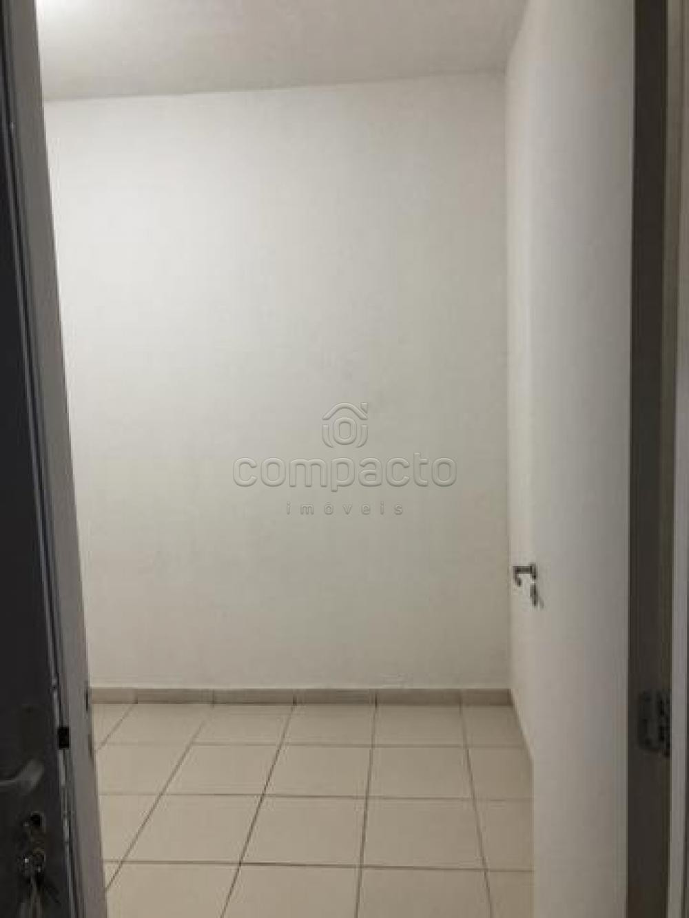 Alugar Casa / Condomínio em São José do Rio Preto apenas R$ 750,00 - Foto 3 Alugar Casa / Condomínio em São José do Rio Preto apenas R$ 750,00 - Foto 3