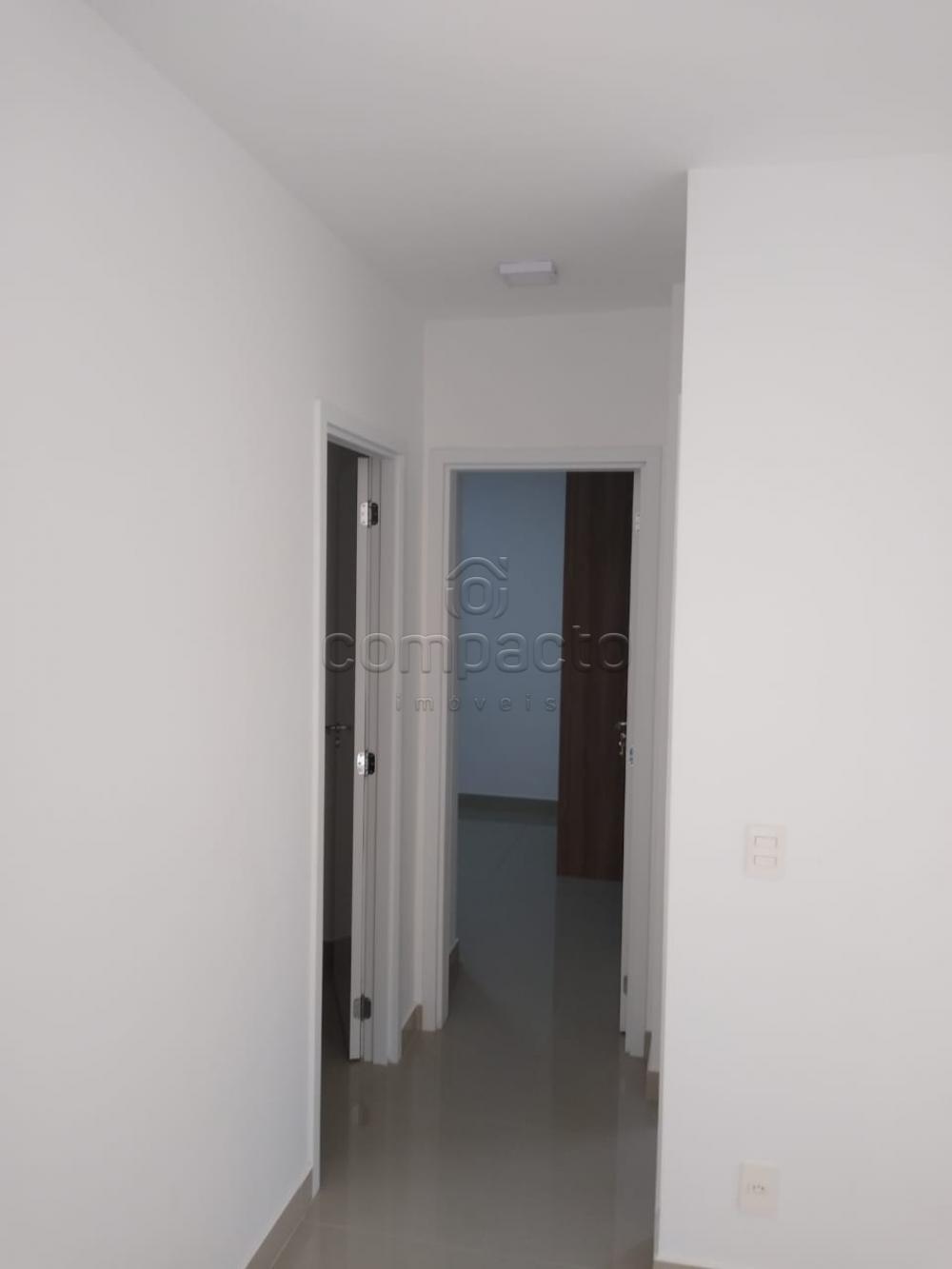 Alugar Apartamento / Padrão em São José do Rio Preto apenas R$ 1.600,00 - Foto 4 Alugar Apartamento / Padrão em São José do Rio Preto apenas R$ 1.600,00 - Foto 4
