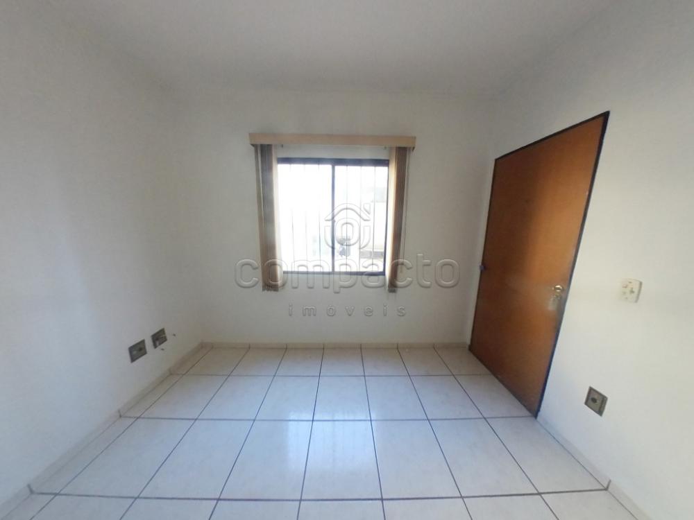Alugar Apartamento / Padrão em São José do Rio Preto apenas R$ 750,00 - Foto 1 Alugar Apartamento / Padrão em São José do Rio Preto apenas R$ 750,00 - Foto 1